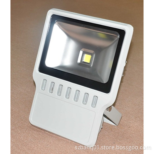 100W LED Flood Light (Outdoor CE&RoHS)
